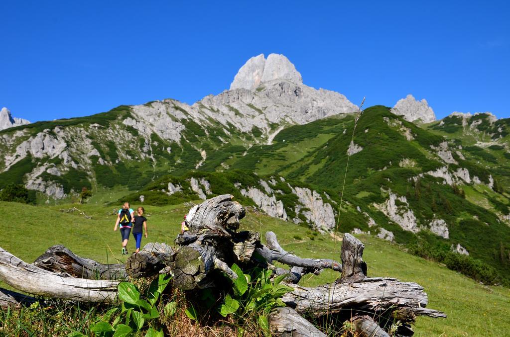 Apartments Alpenfrieden Sankt Martin am Tennengebirge Eksteriør billede