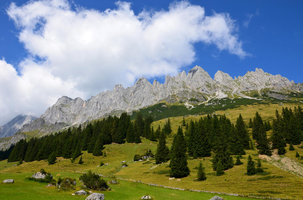 Apartments Alpenfrieden Sankt Martin am Tennengebirge Eksteriør billede