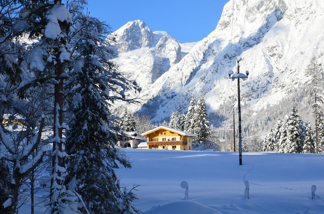 Apartments Alpenfrieden Sankt Martin am Tennengebirge Eksteriør billede